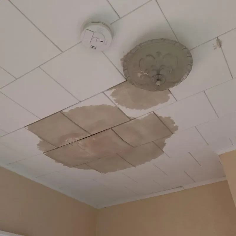 Ceiling Water Damage Repair in Wheatley Heights, NY